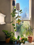 Sky Planter - recycled self-watering hanging pot