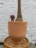Parma Planter