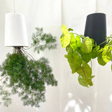 Sky Planter - recycled self-watering hanging pot