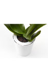 Sky Planter - recycled self-watering hanging pot