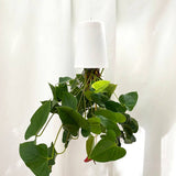Sky Planter - recycled self-watering hanging pot