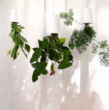 Sky Planter - recycled self-watering hanging pot
