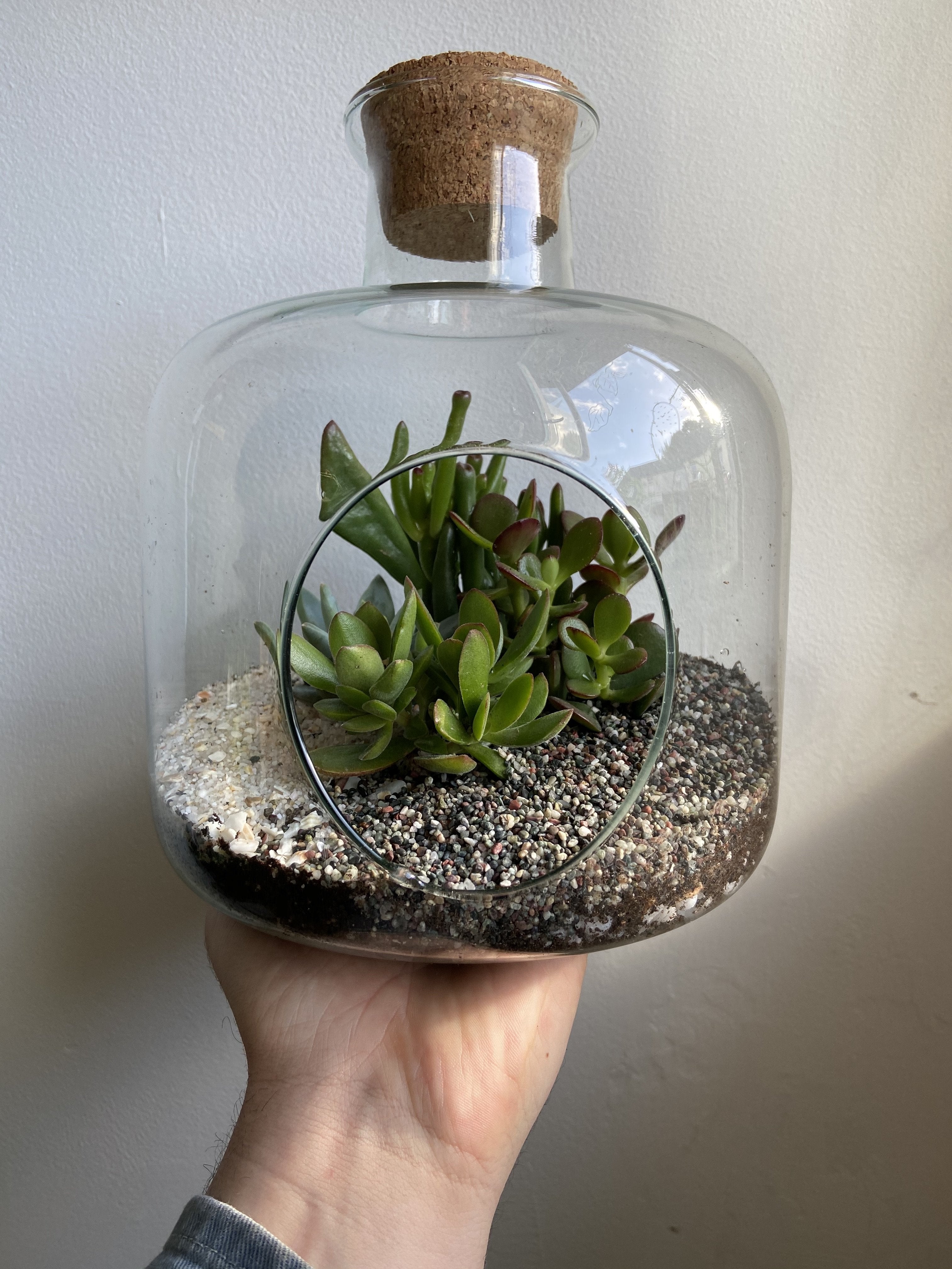 Terrariums
