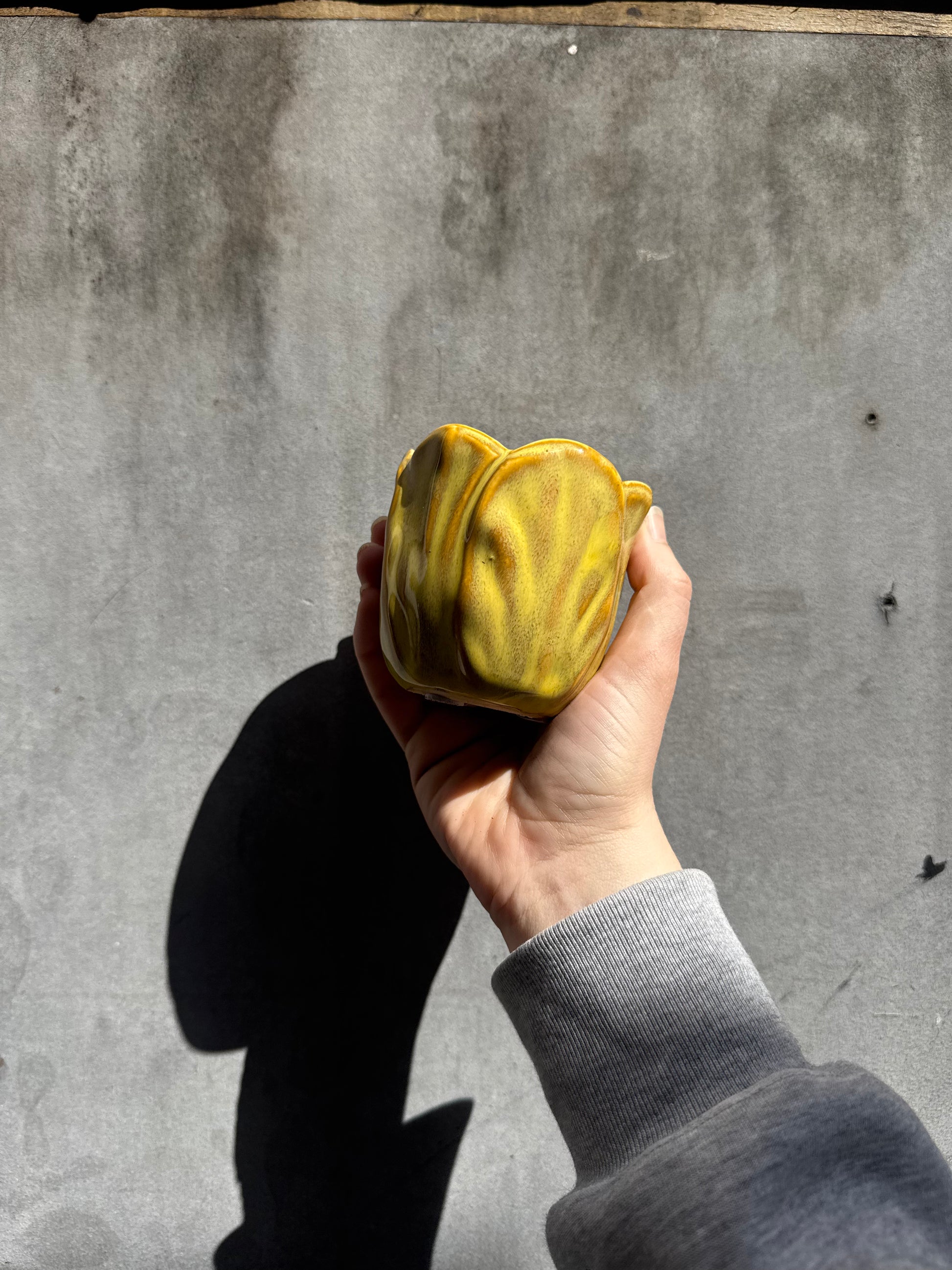 Alyssa Tulip Mustard Planter-1