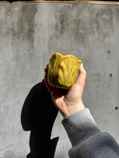 Alyssa Tulip Mustard Planter-1