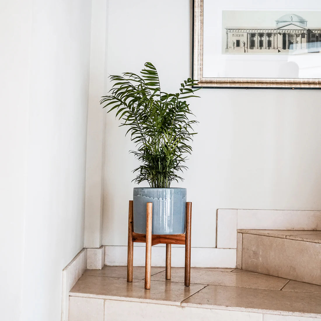 Anzio Stone Planter with Wooden Stand-3