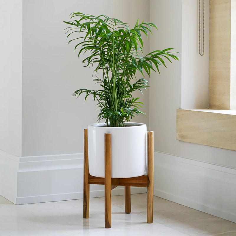 Anzio Stone Planter with Wooden Stand-4