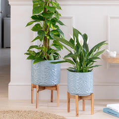 Aspen Flower/Chevron Planter-7