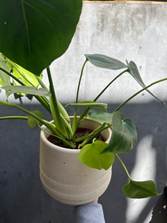 Aurora Terrazzo Handle Planter-4