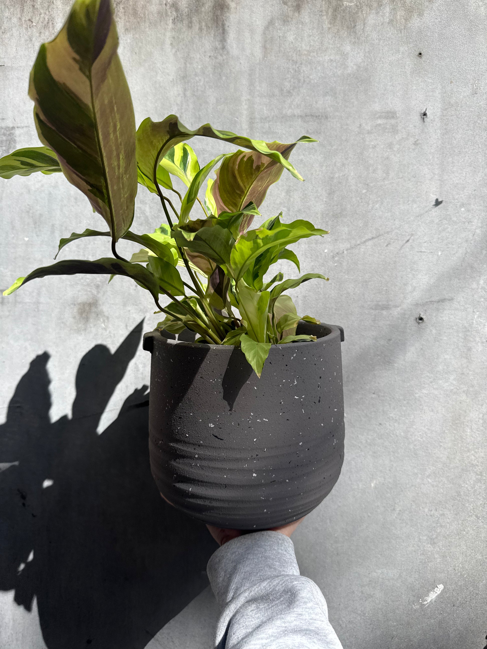 Aurora Terrazzo Handle Planter-2