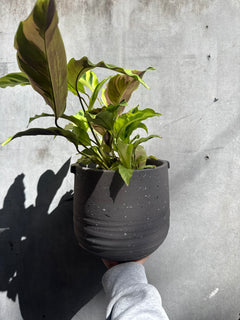 Aurora Terrazzo Handle Planter-2