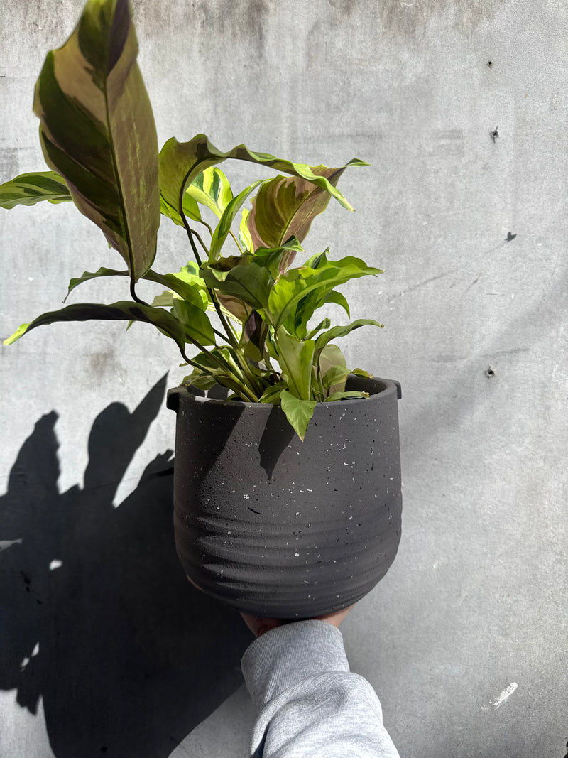 Aurora Terrazzo Handle Planter-2