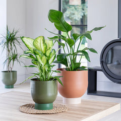 Austin Dual Metal Planters Set of 2-1