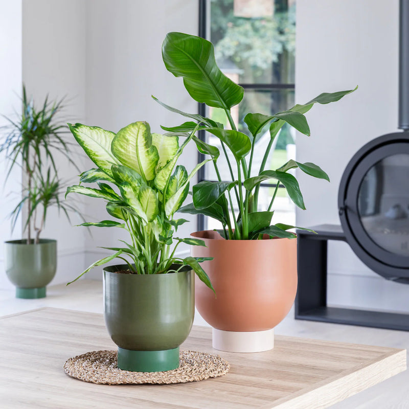 Austin Dual Metal Planters Set of 2-1