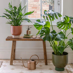 Austin Dual Metal Planters Set of 2-2