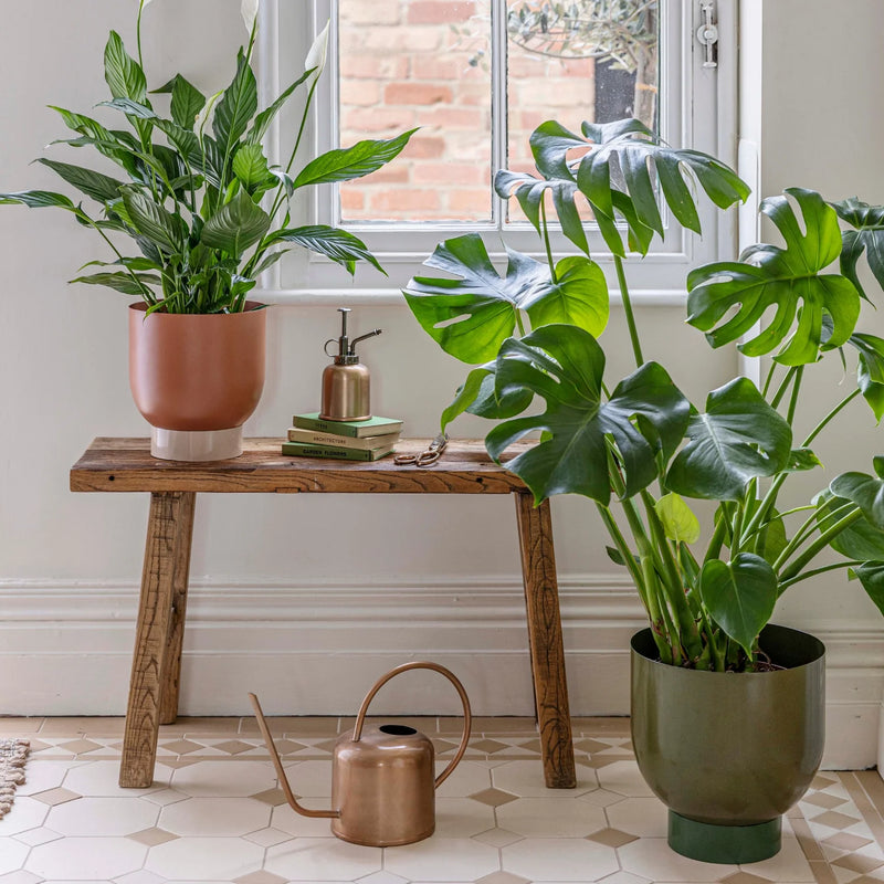 Austin Dual Metal Planters Set of 2-2