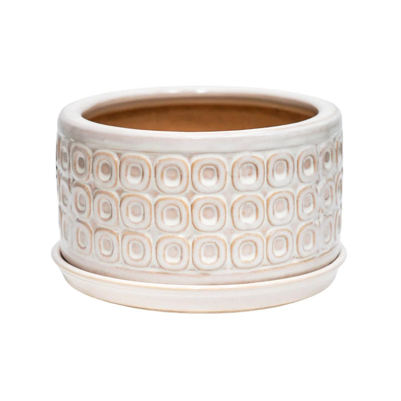 White Round Bonsai Planter Set of 2-1