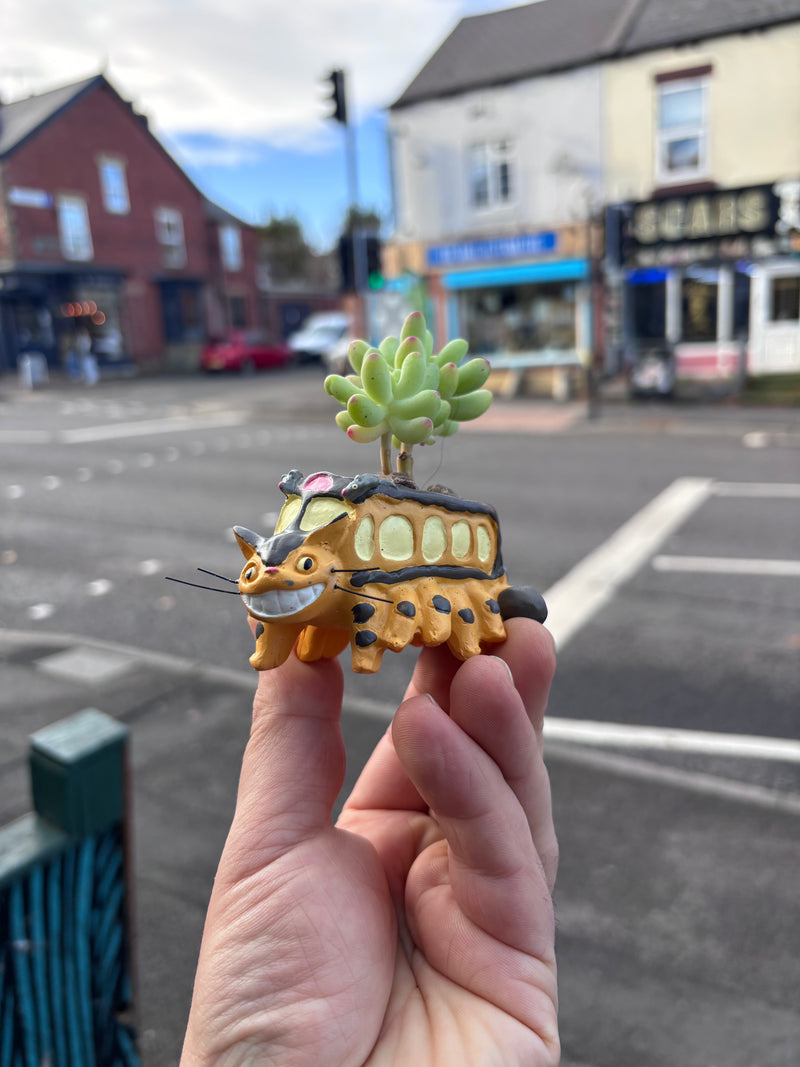 Cat Bus Planter-1