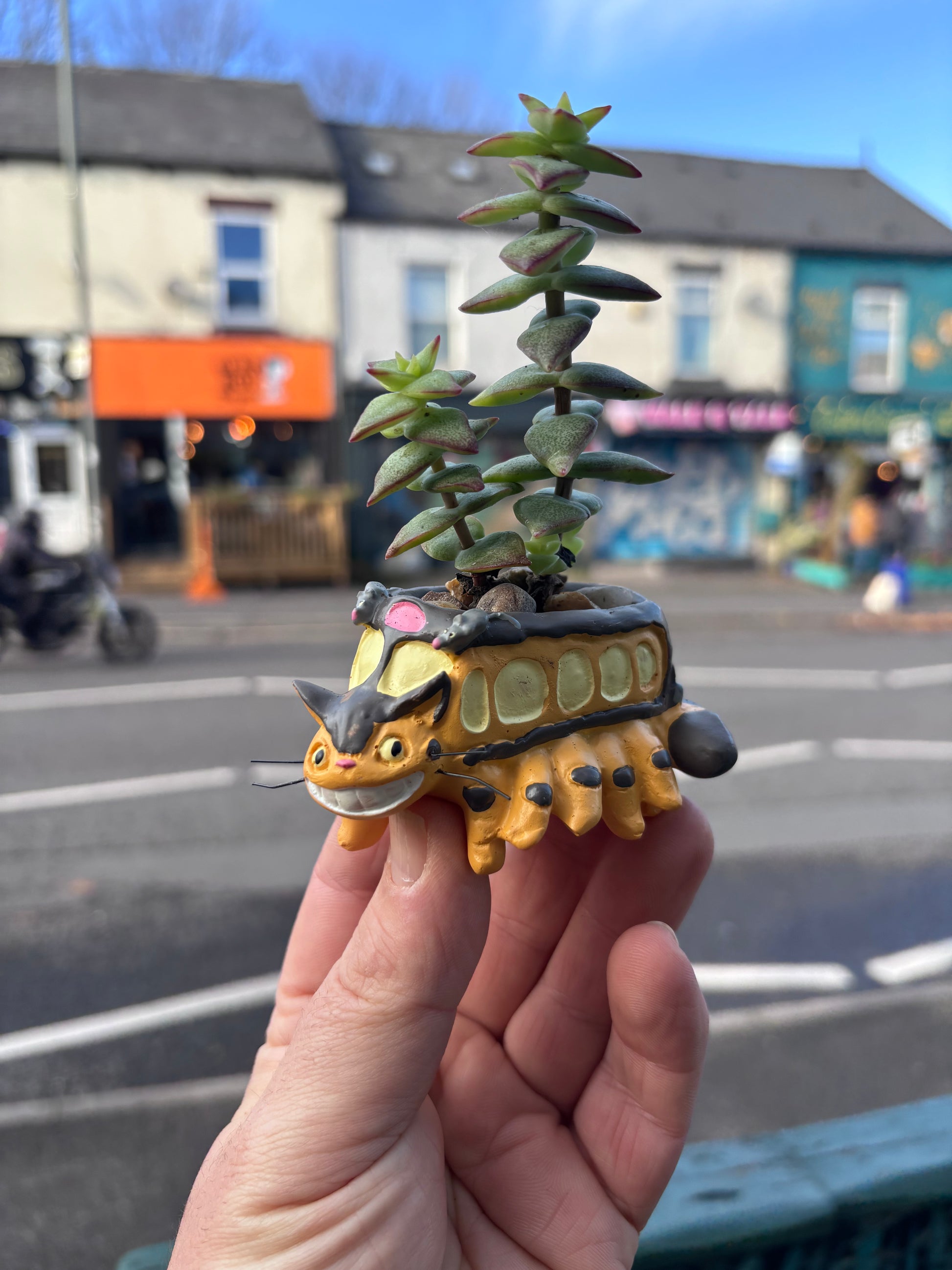 Cat Bus Planter-7