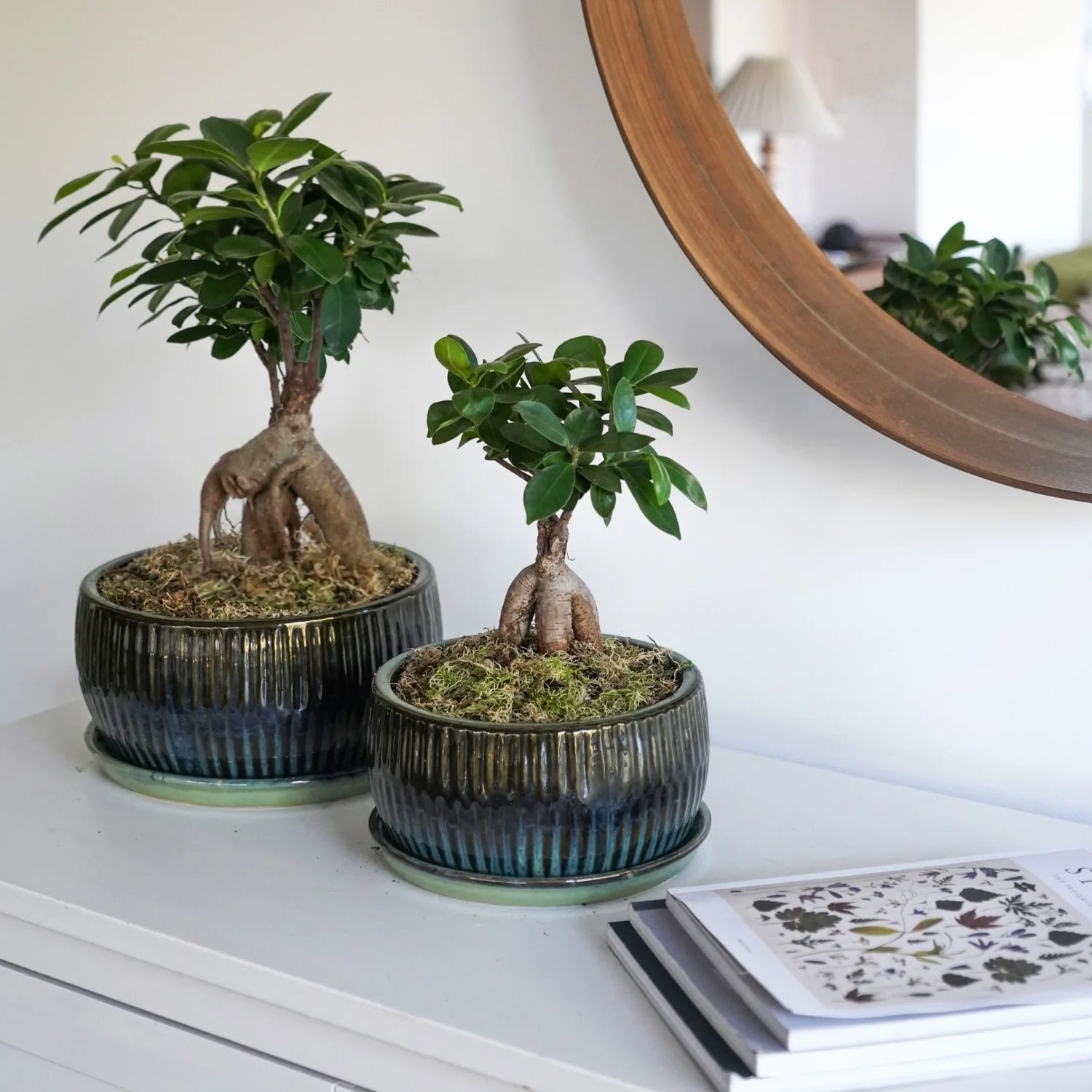 Emerald Reactive Glaze Planter H25Cm D25Cm