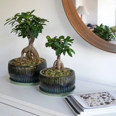 Emerald Reactive Glaze Planter H25Cm D25Cm-1
