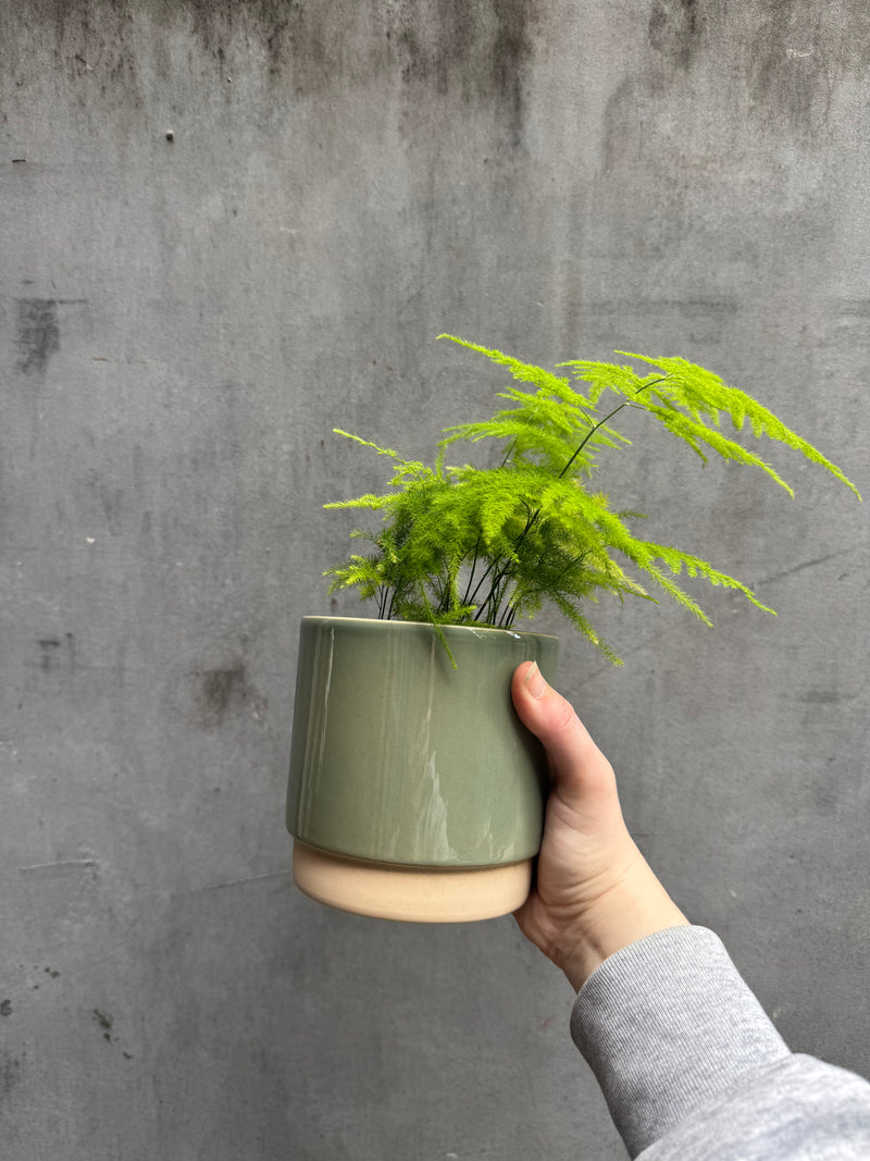 Eno Pots-4