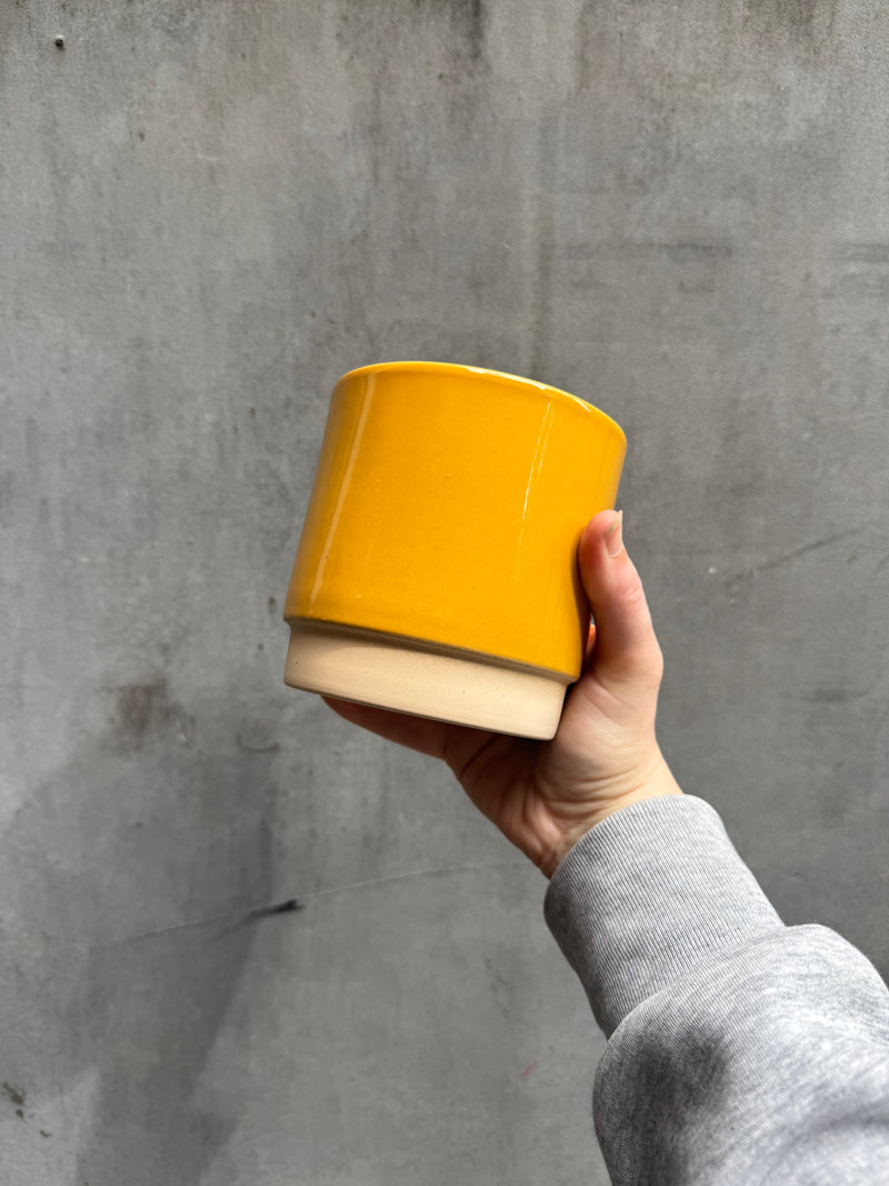 Eno Pots-1