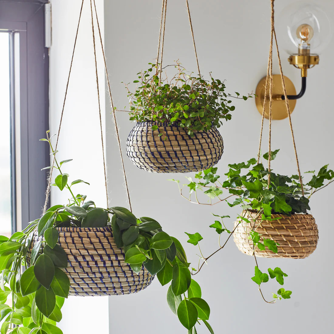 Hanging Seagrass Planter Set of 2 (Navy)