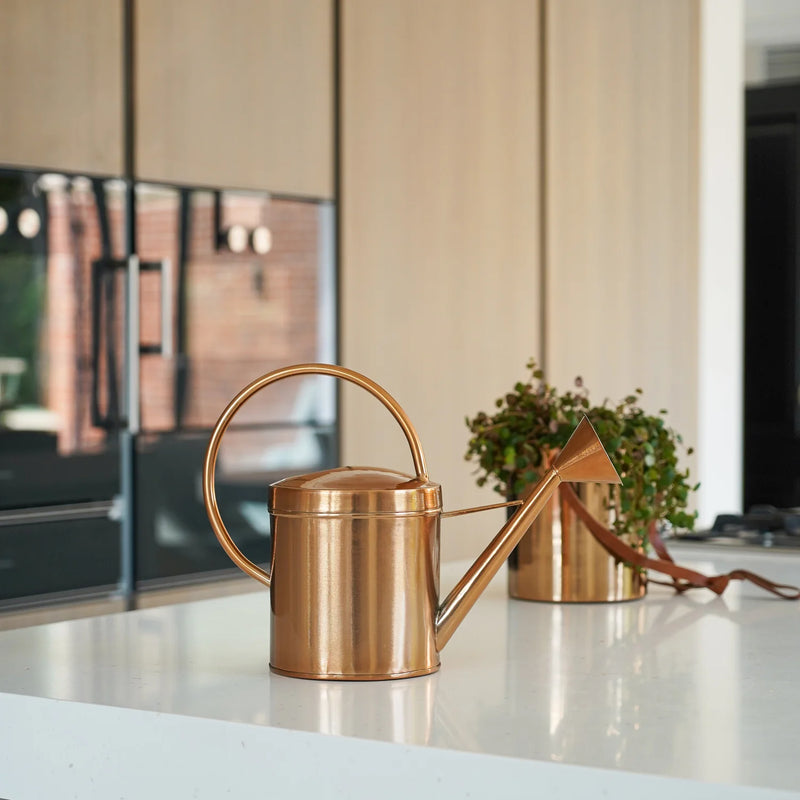 Kew Matt Brass Watering Can-2