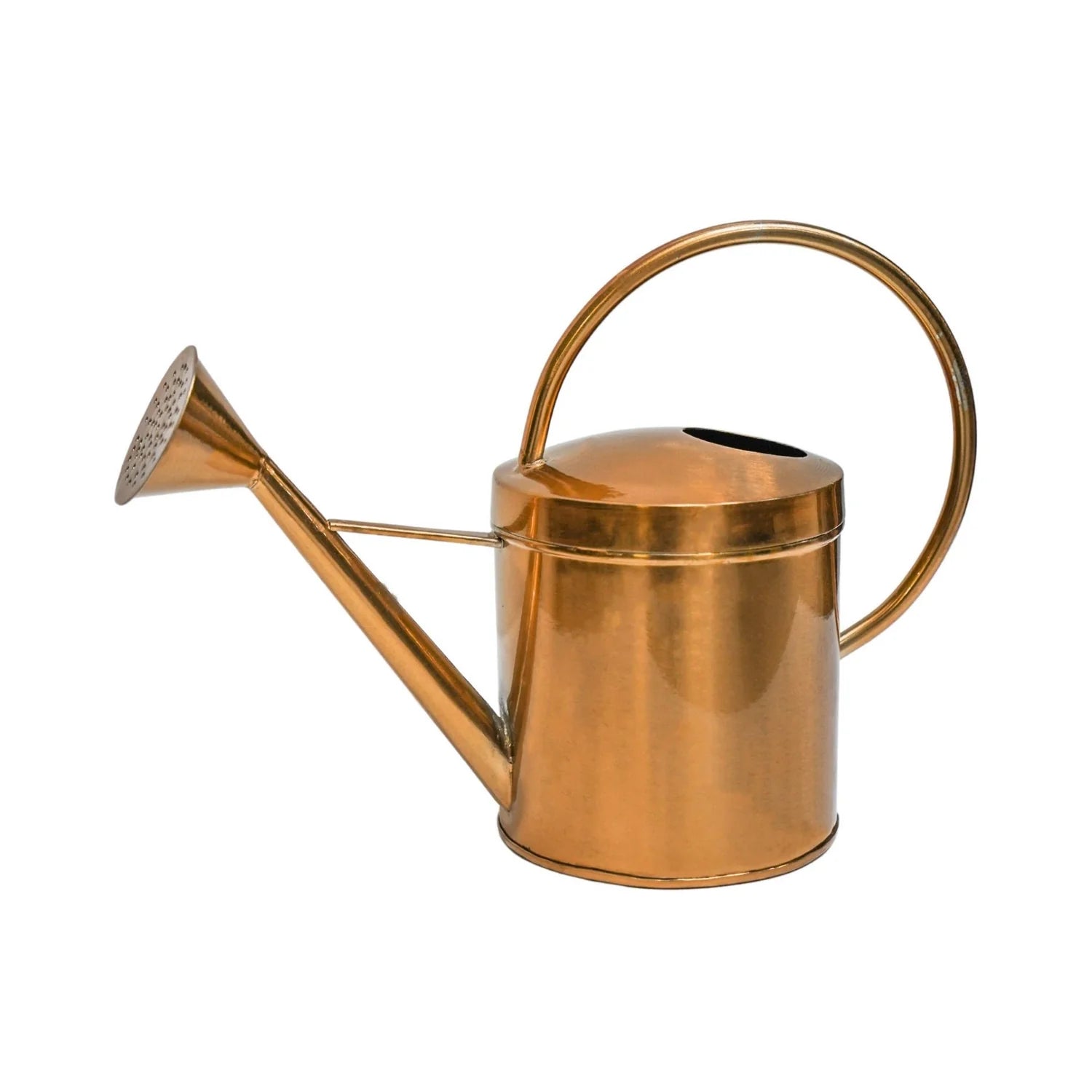 Kew Matt Brass Watering Can-1