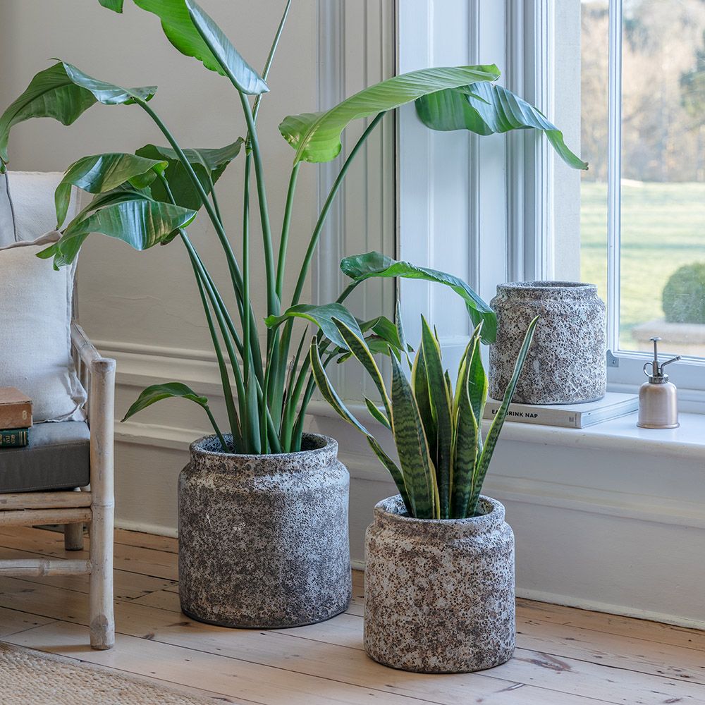 Kew Volcanic Textured Planter