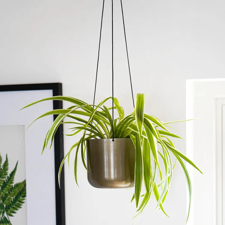 Kew Hanging Planter with Hook-1