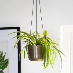Kew Hanging Planter with Hook-1