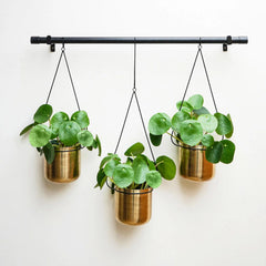 Linear Hanging Planters Black and Gold-2