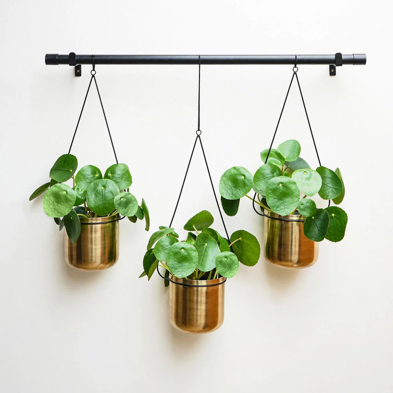 Linear Hanging Planters Black and Gold-2
