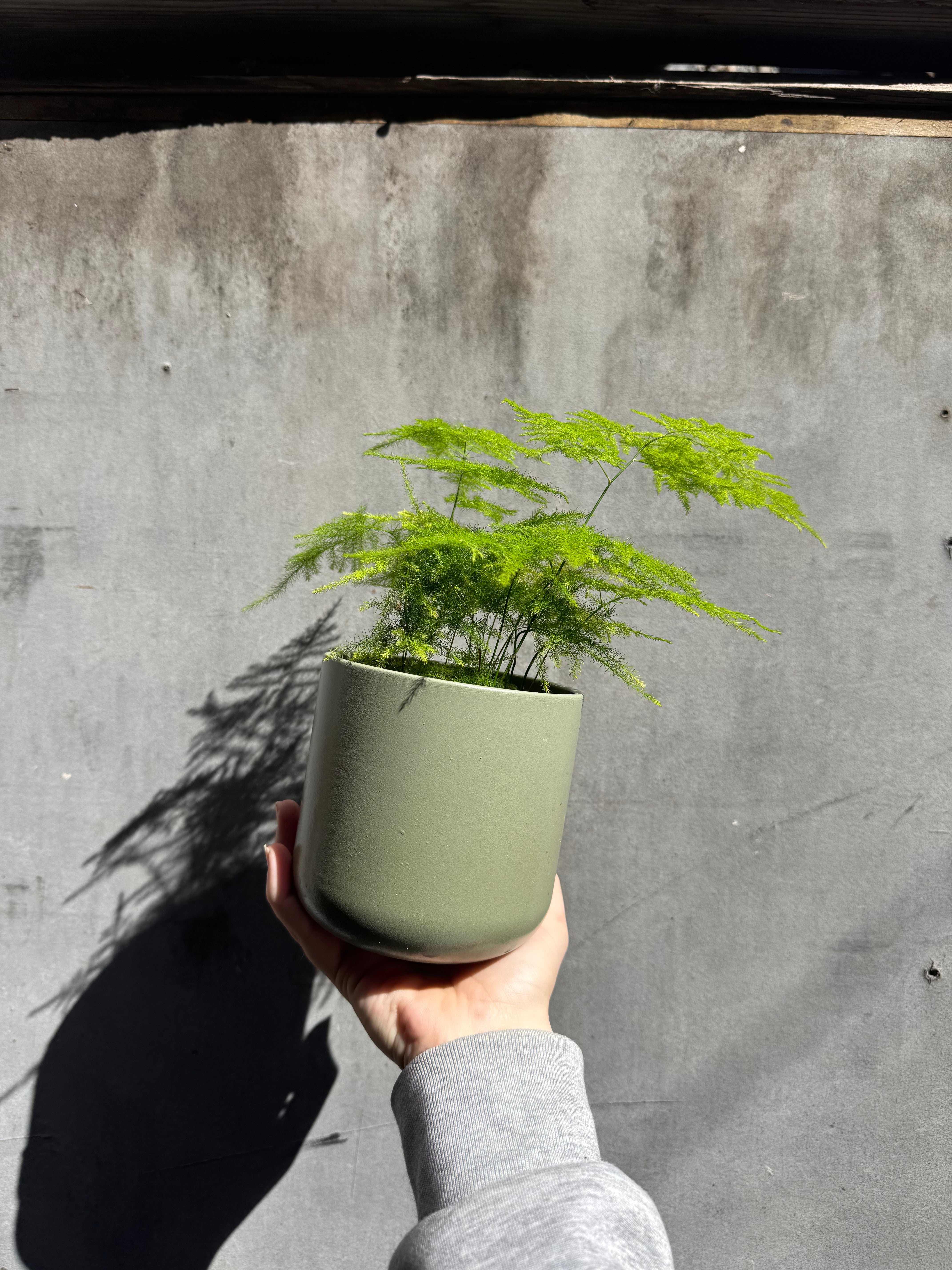 Lisbon Planter-3