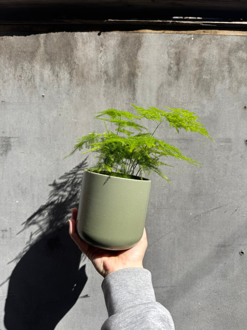 Lisbon Planter-3