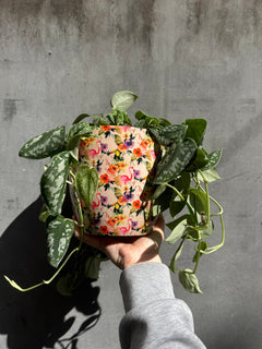 Monza Floral Flamingo Planter-2