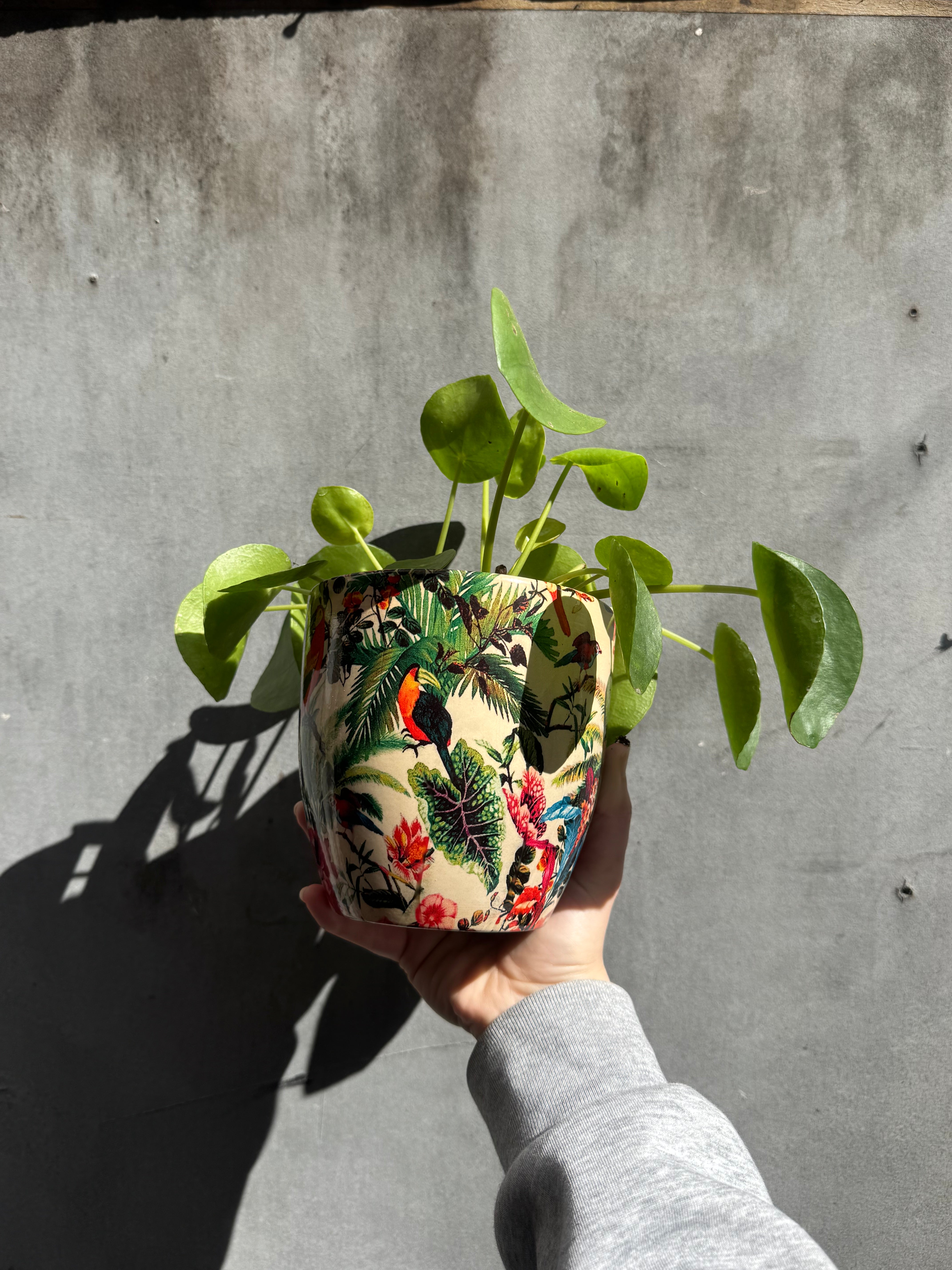 Monza Tropical Parrot Planter
