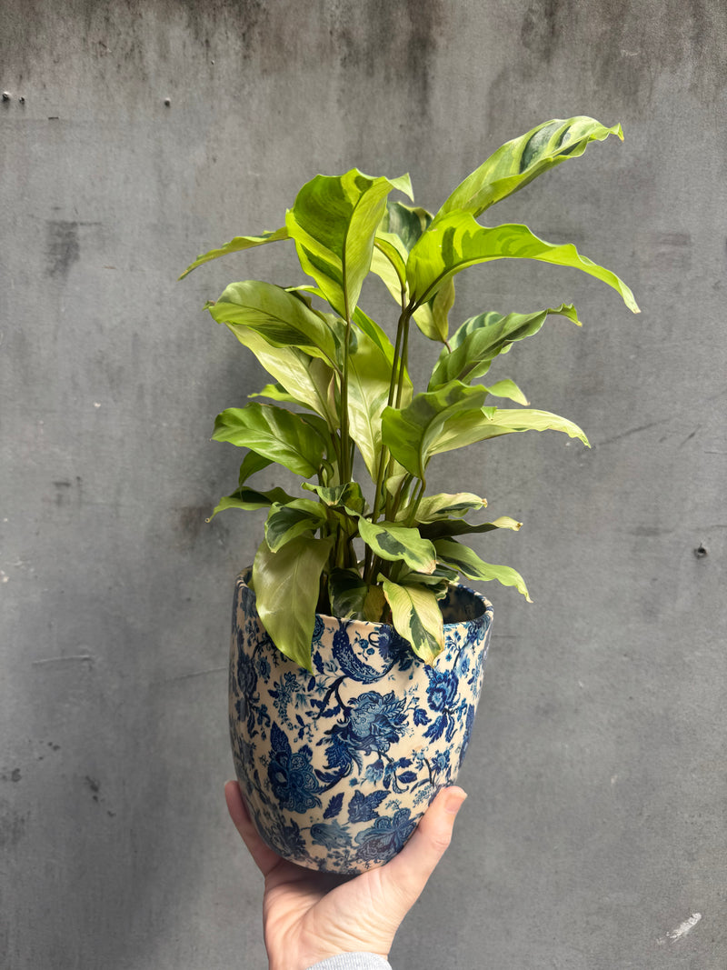 Monza Vintage Blue Planter-3