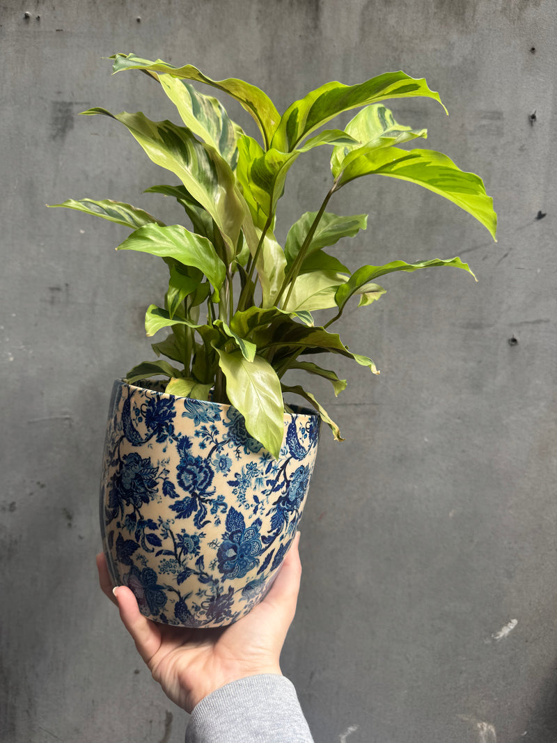 Monza Vintage Blue Planter-4