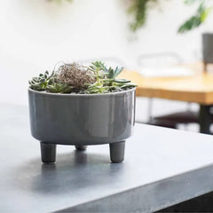 Pisa Bowls and Planters-13