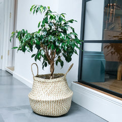 Seagrass Chevron White Lined Basket-2