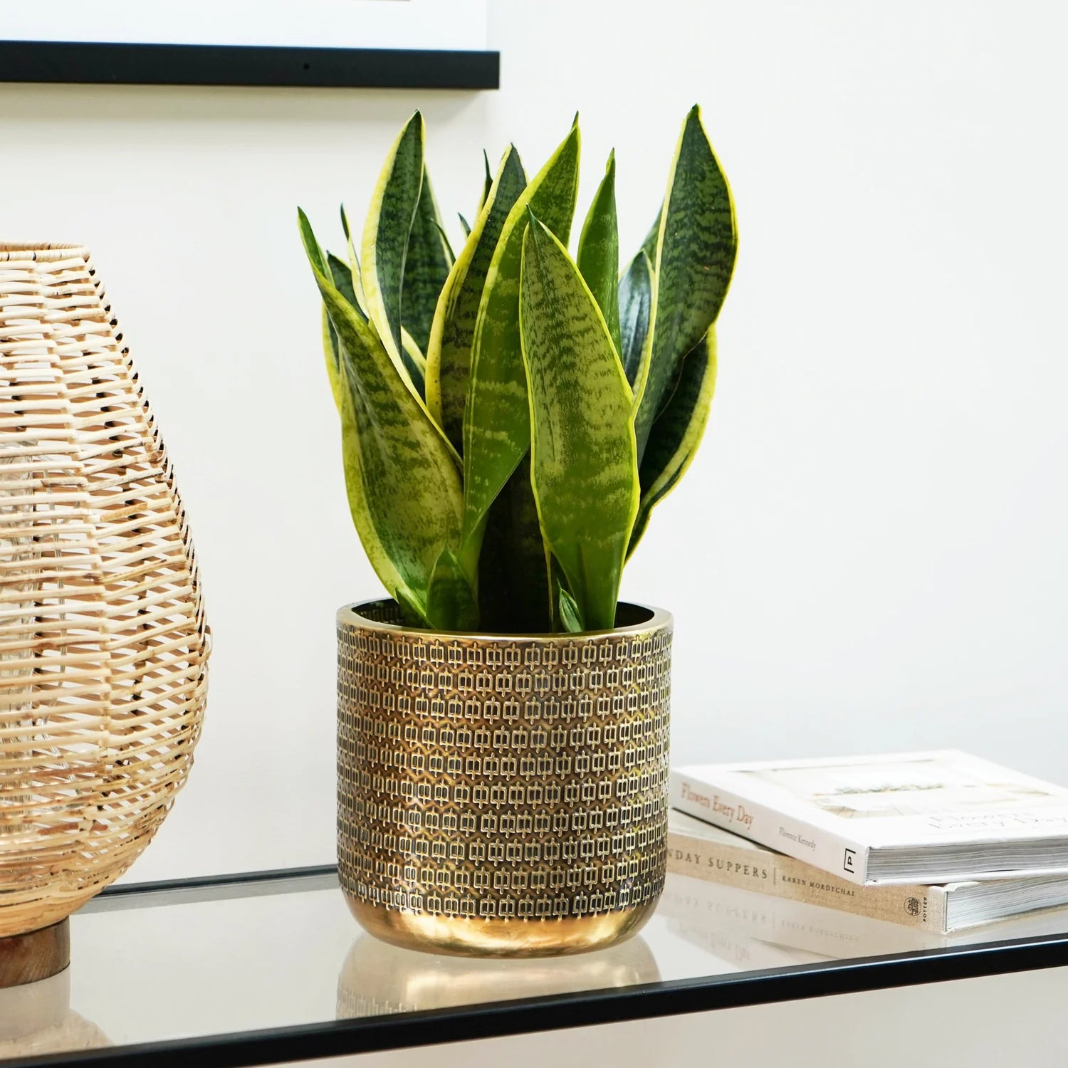 Solis Embossed Planter-2