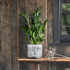 Tivoli Planter Earth-2