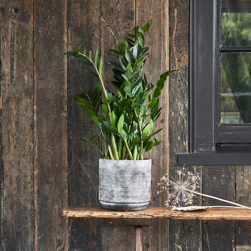 Tivoli Planter Earth-2