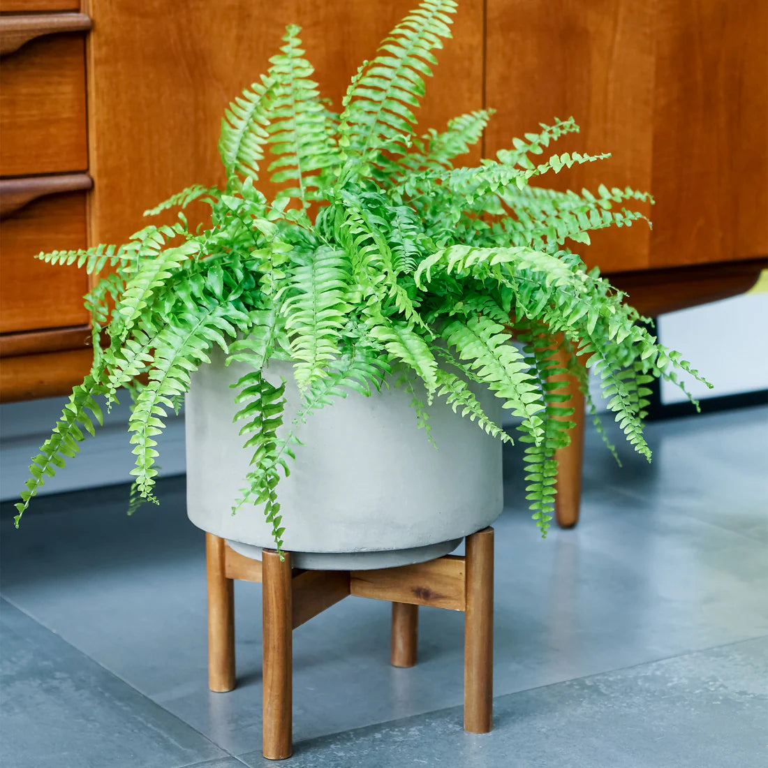 Vigo Concrete Grey Planter with Stand-1