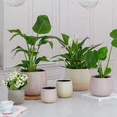 Vallo Reactive Glaze Tapered Planter H26.5cm D29.5cm-1