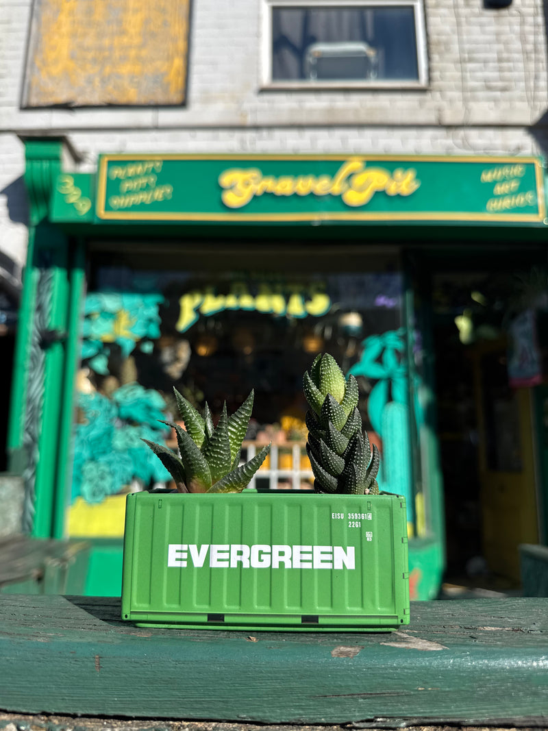 Shipping Container Planter (Green)-1