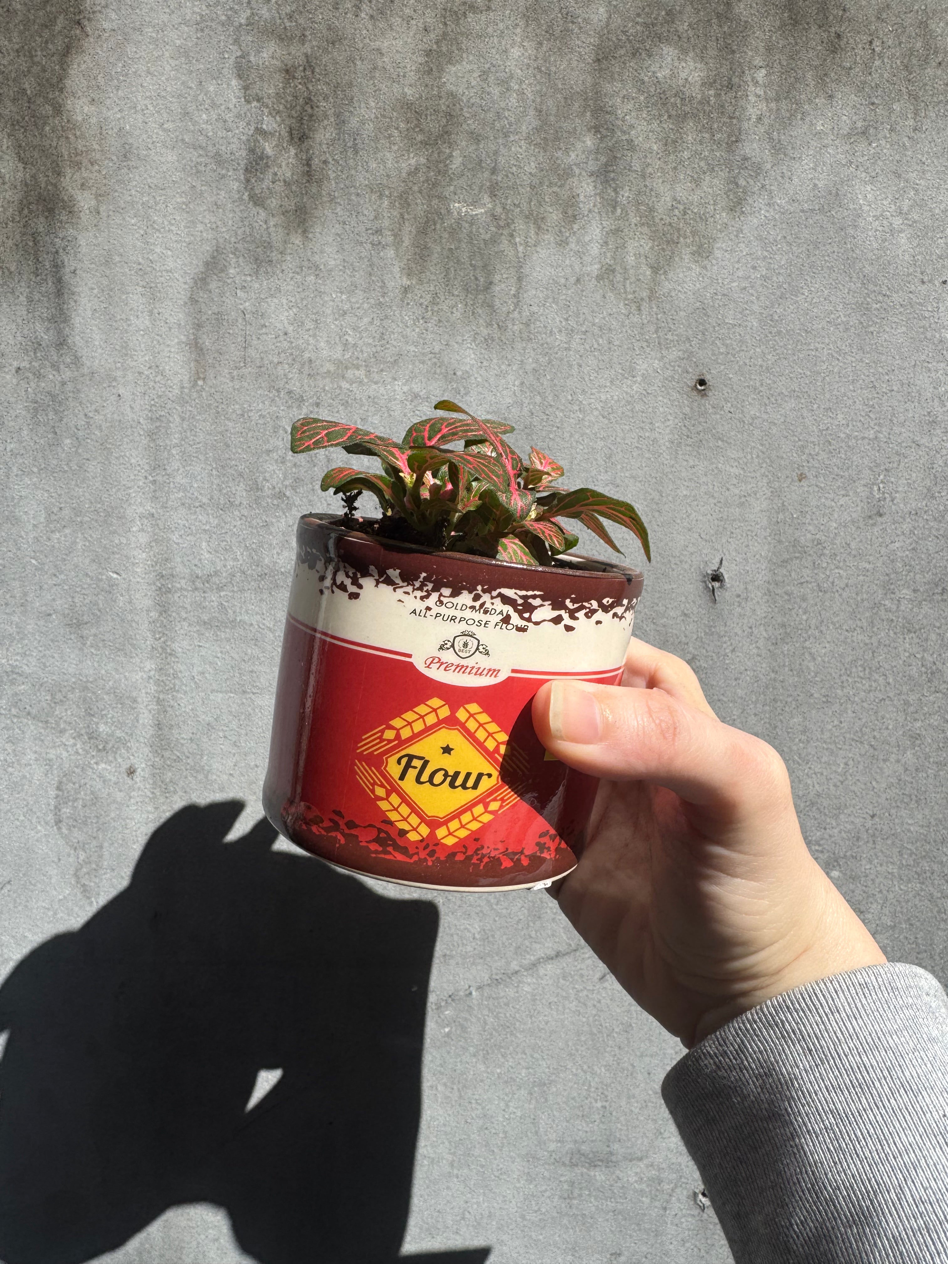 Flour Tin Pot